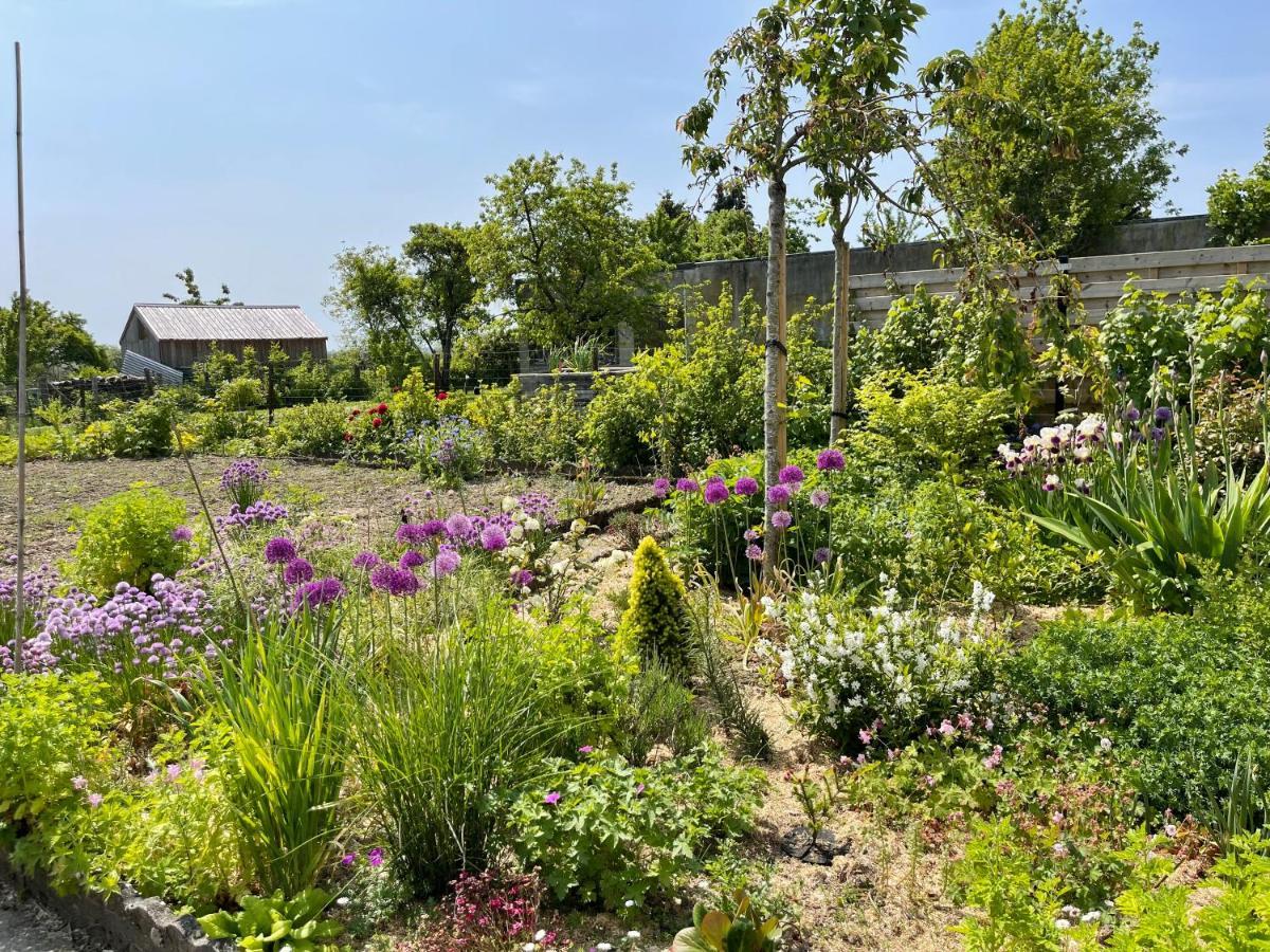 Les Pimprenelles Villa Beauraing Buitenkant foto